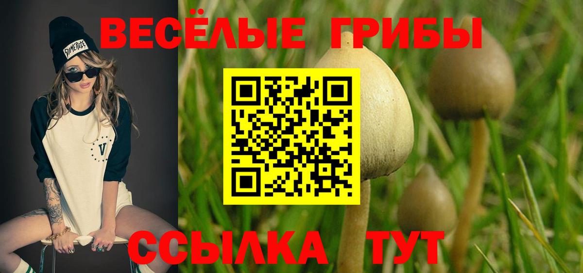 Псилоцибиновые грибы Magic Shrooms Фролово