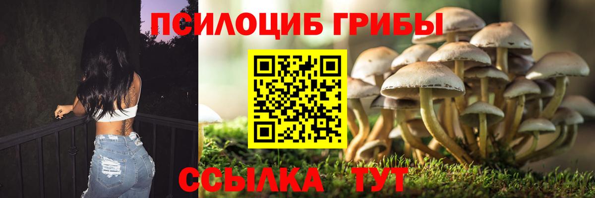 Фролово  Галлюциногенные грибы Psilocybe  Галлюциногенные грибы ЛСД  Вход с VPN 
